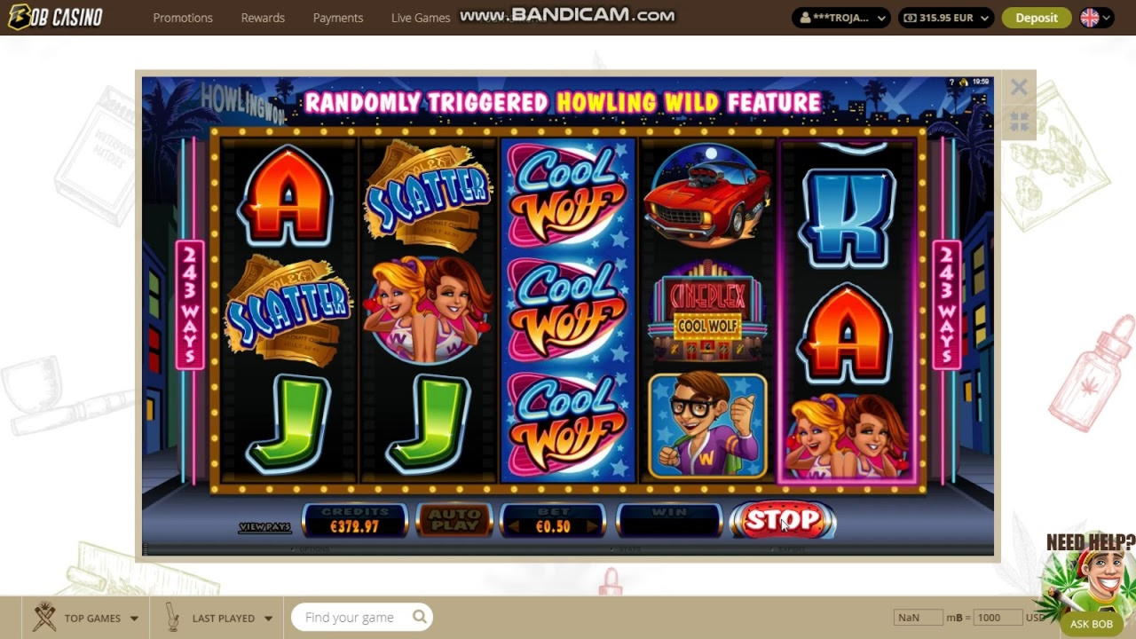 155 Free spins at Winner Casino