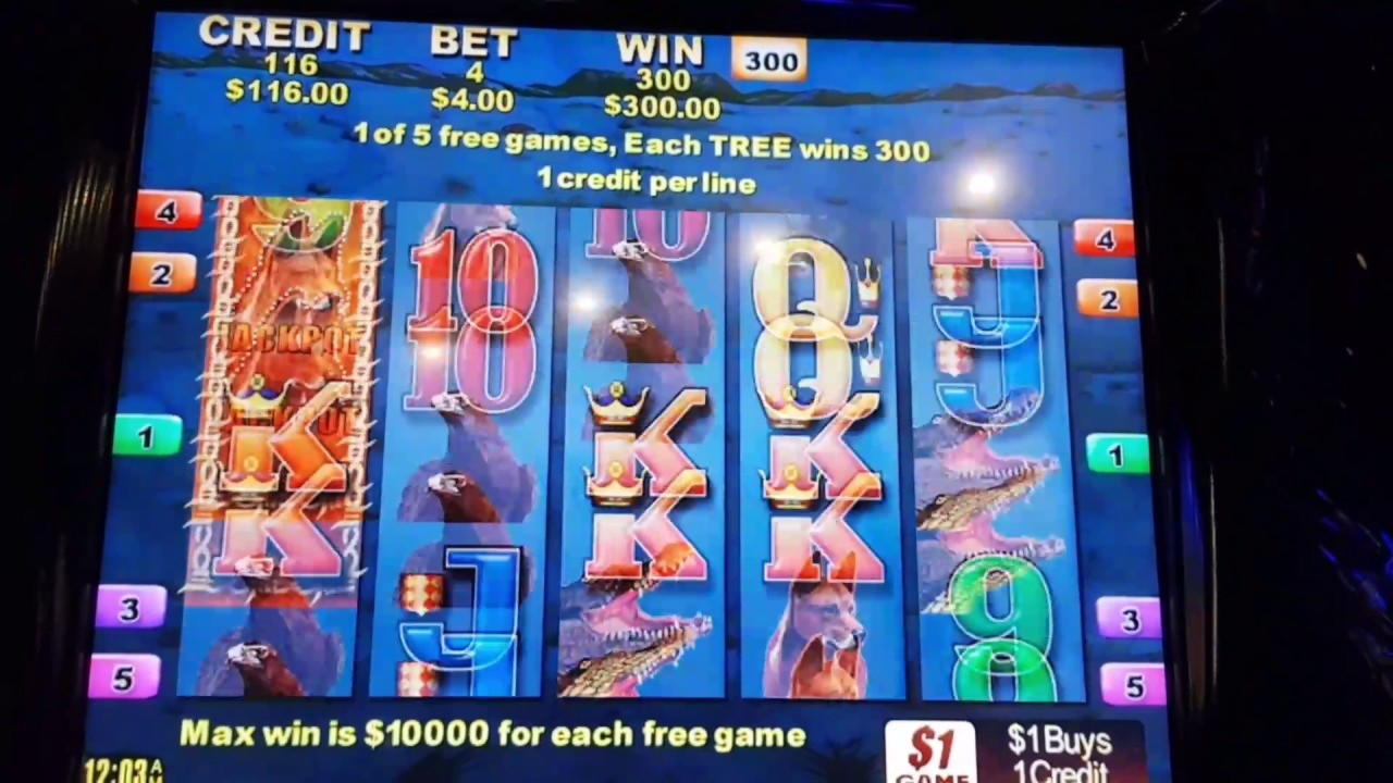 €222 Daily freeroll slot tournament at Dream Dubai Casino