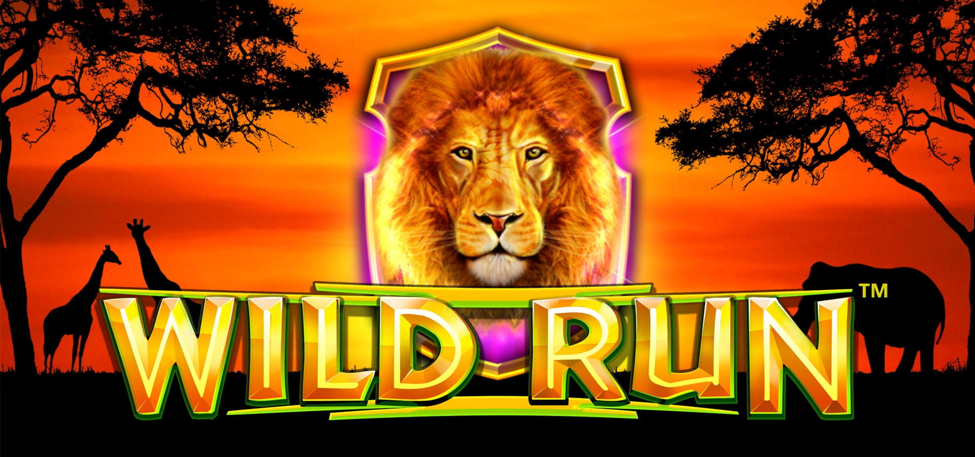 255 Free Spins no deposit at Casino Shadowbet