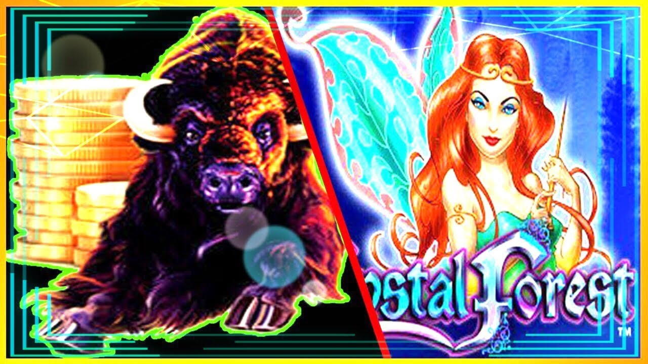55% Casino Welcome Bonus at Leo Dubai Casino