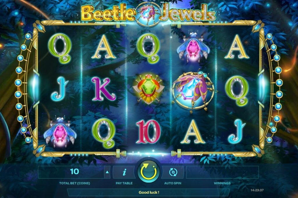 685% No Rules Bonus! at Wix Stars Casino