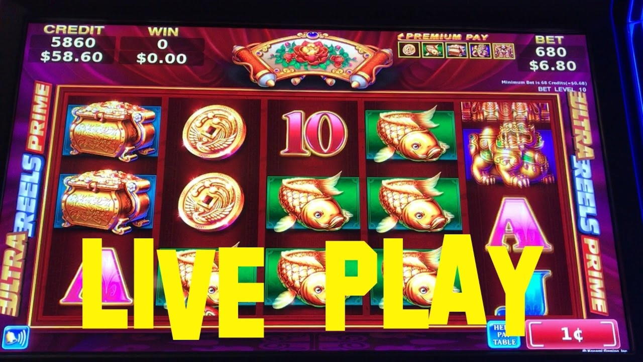 55 Loyalty Free Spins! at Gate777 Casino