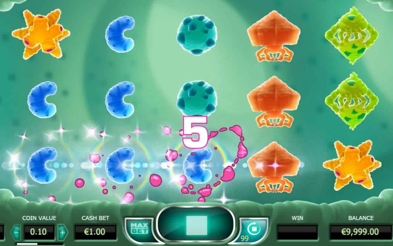 550% Best signup bonus casino at Wix Stars Casino
