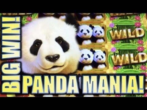 100% Match Bonus Casino at Casino com