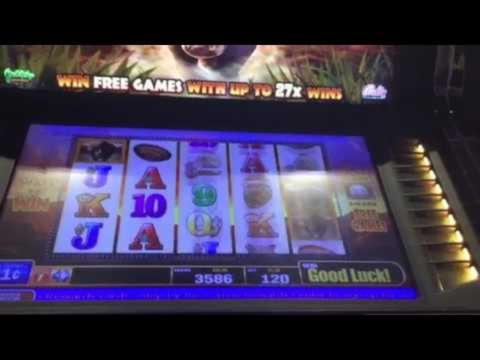 EURO 545 FREE CHIP at CasiPlay Casino