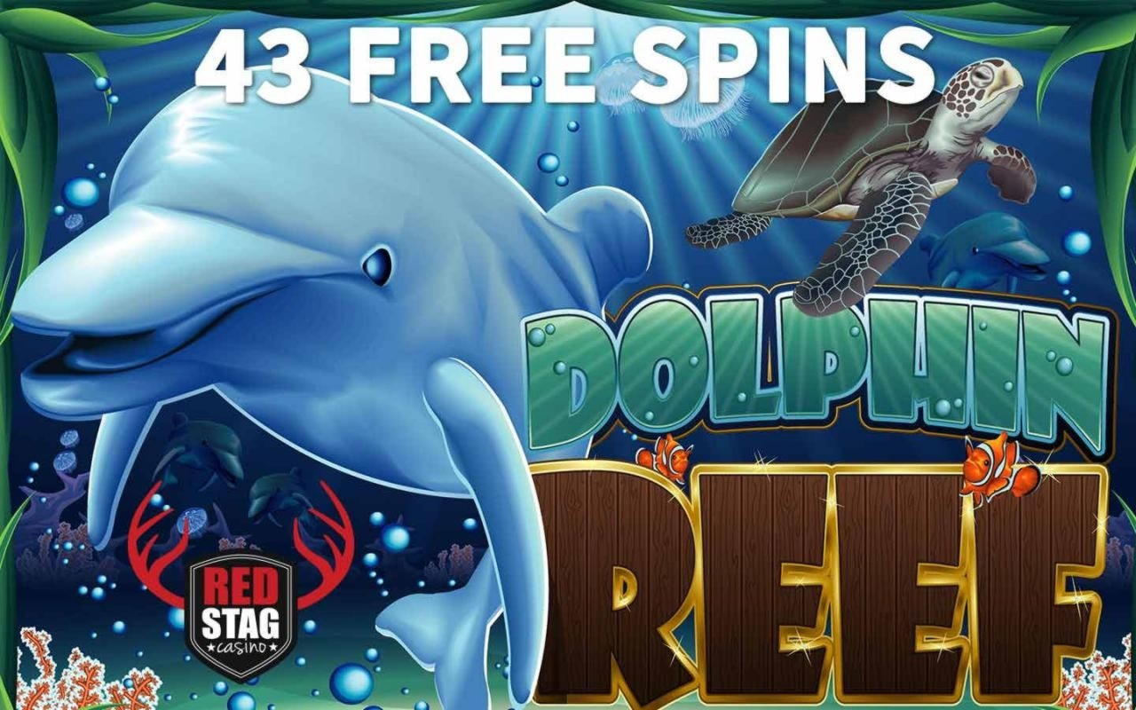 70 FREE Spins at Wix Stars Casino
