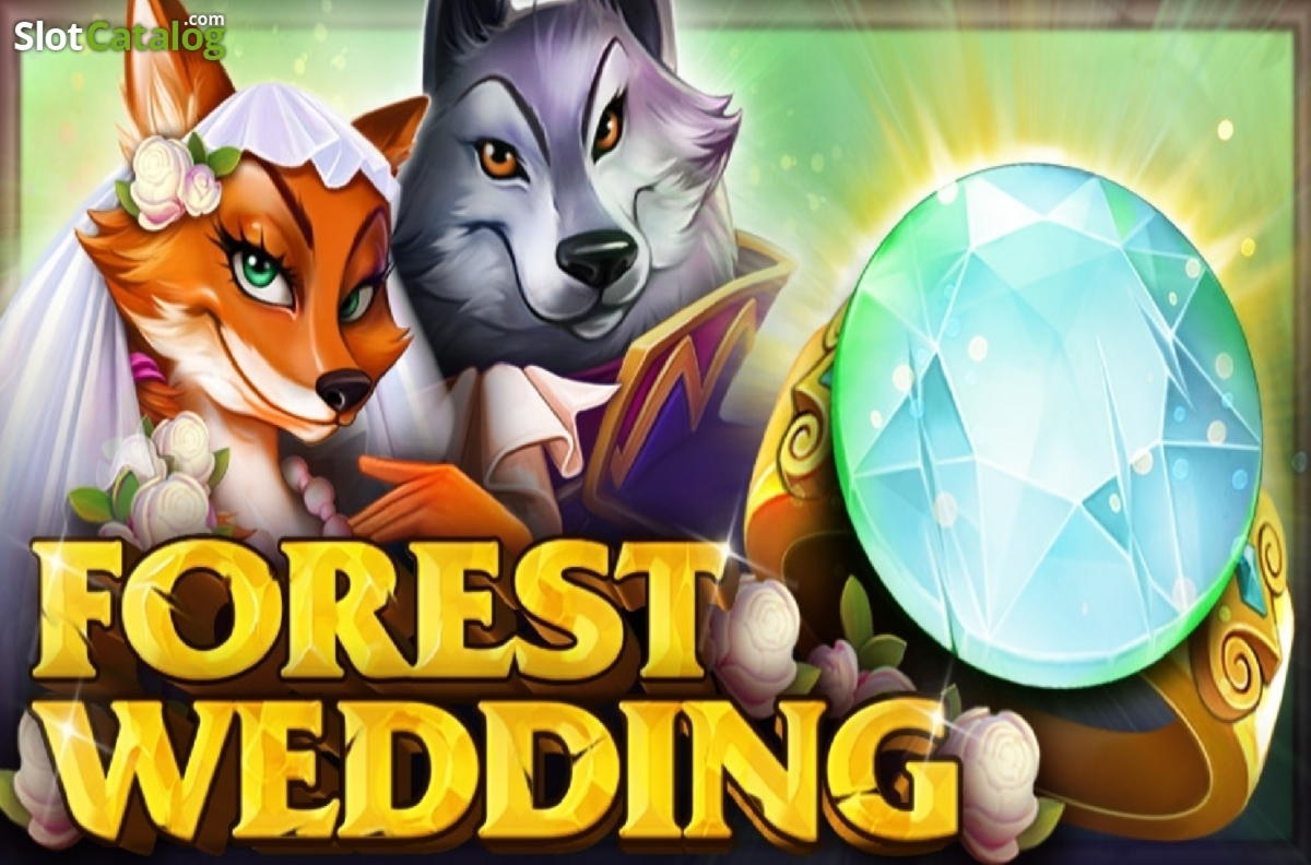 EUR 33 Tournament at Dunder Casino
