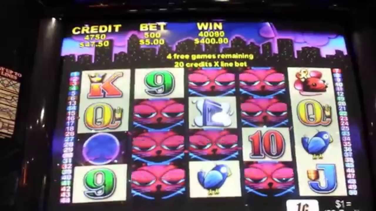 EUR 2315 No deposit bonus code at Leo Dubai Casino
