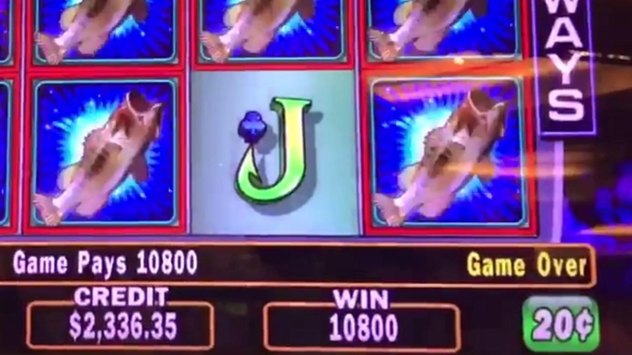 88 free spins at Red Spins Casino