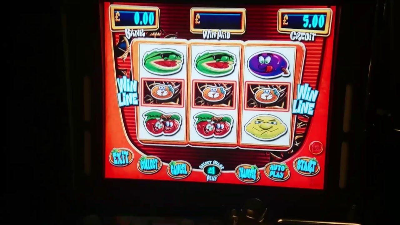 765% Match Bonus Casino at Wix Stars Casino