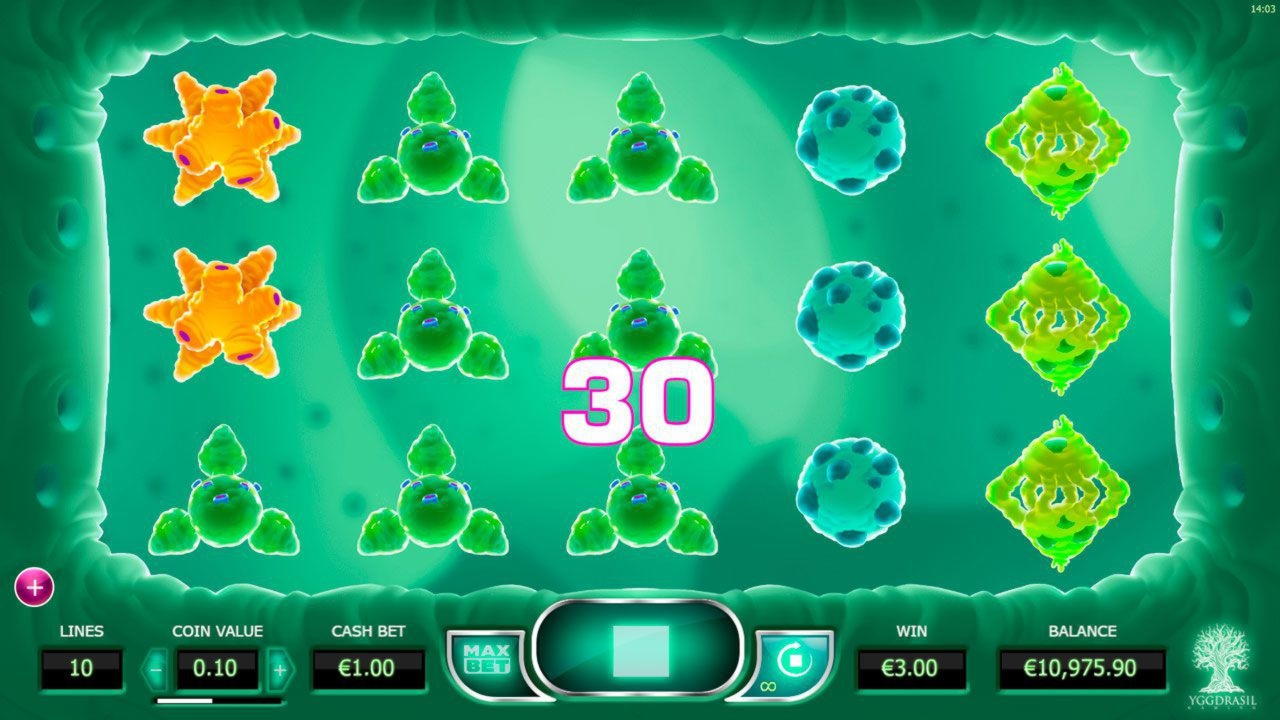 55 FREE Spins at Casino com