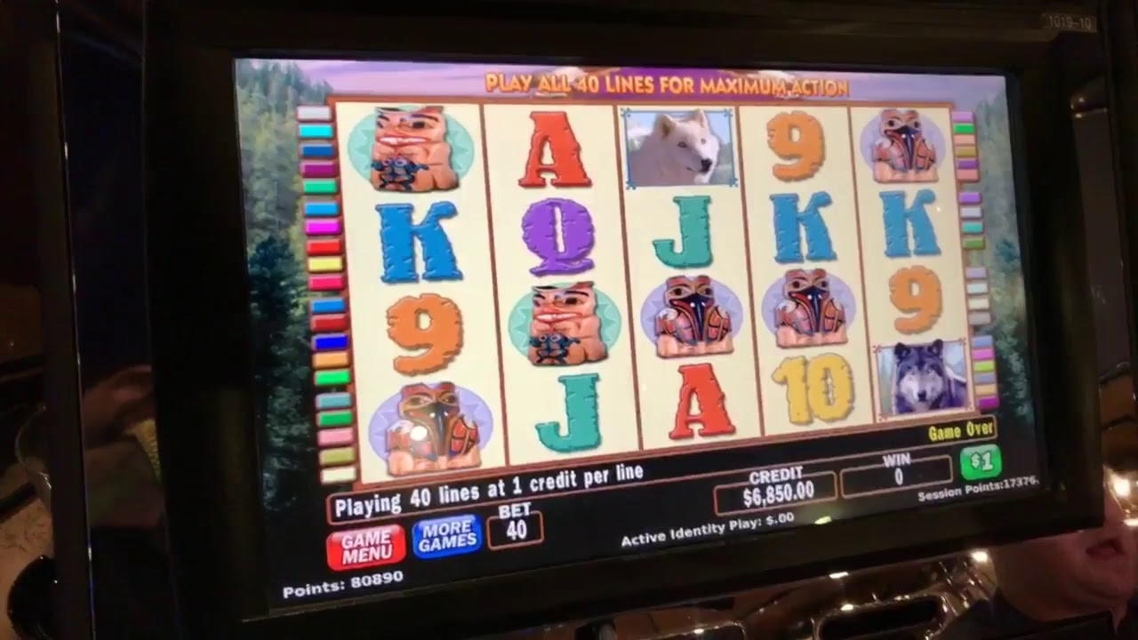 $505 Free Cash at Video Slots Casino