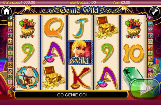 Eur 685 Casino chip at Hopa Casino