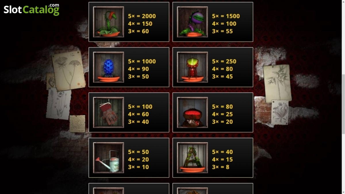 €815 Tournament at Casino com