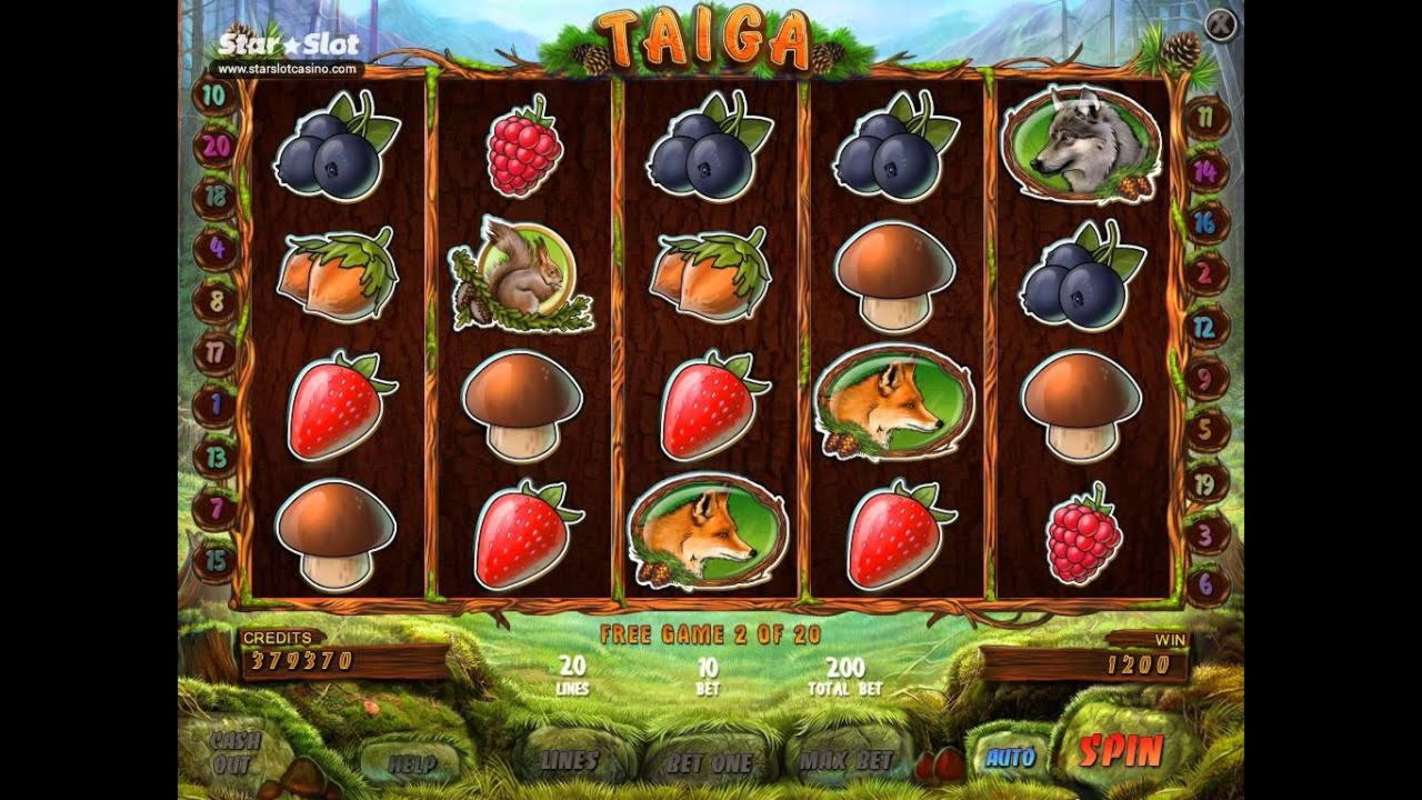EURO 825 Tournament at Video Slots Casino