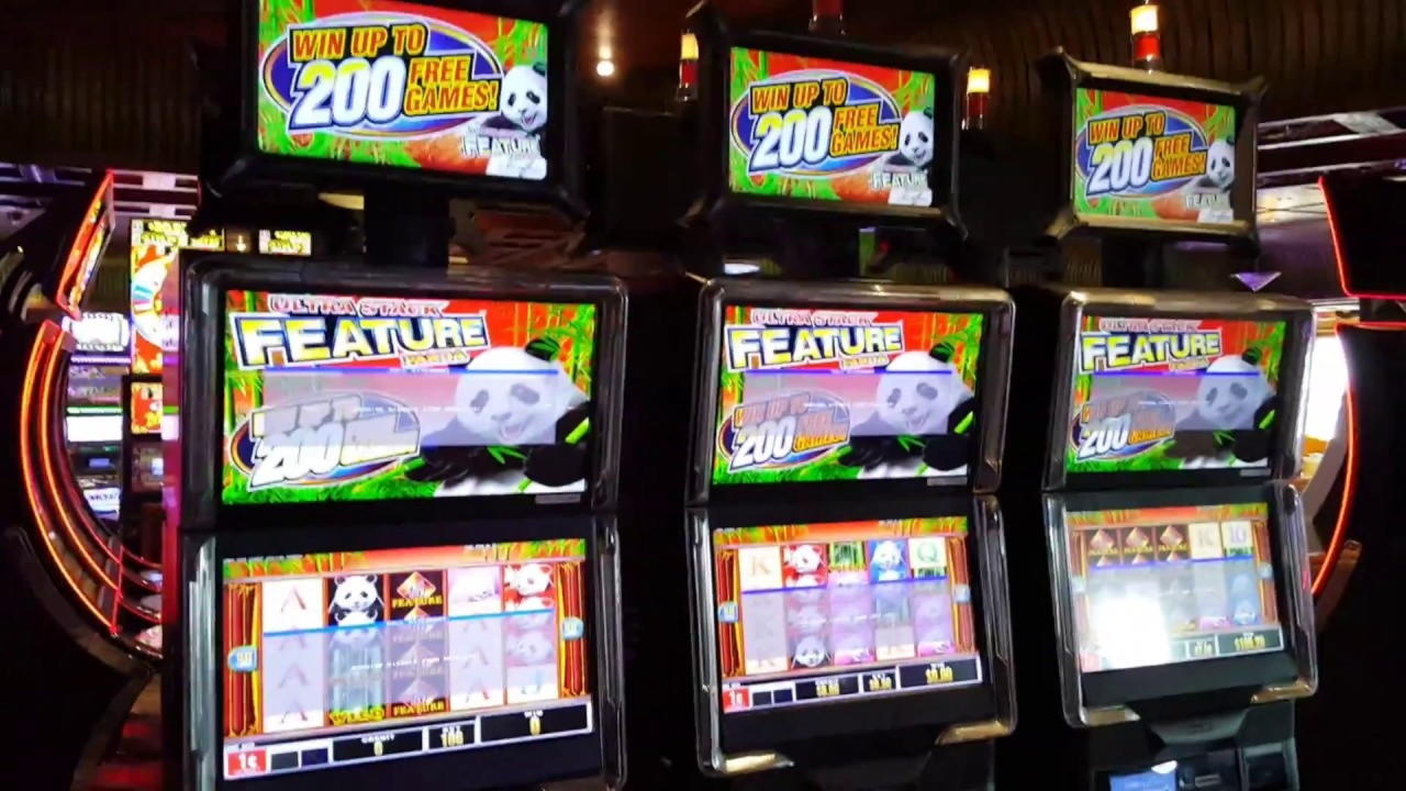 EURO 4295 NO DEPOSIT BONUS CODE at Volt Casino