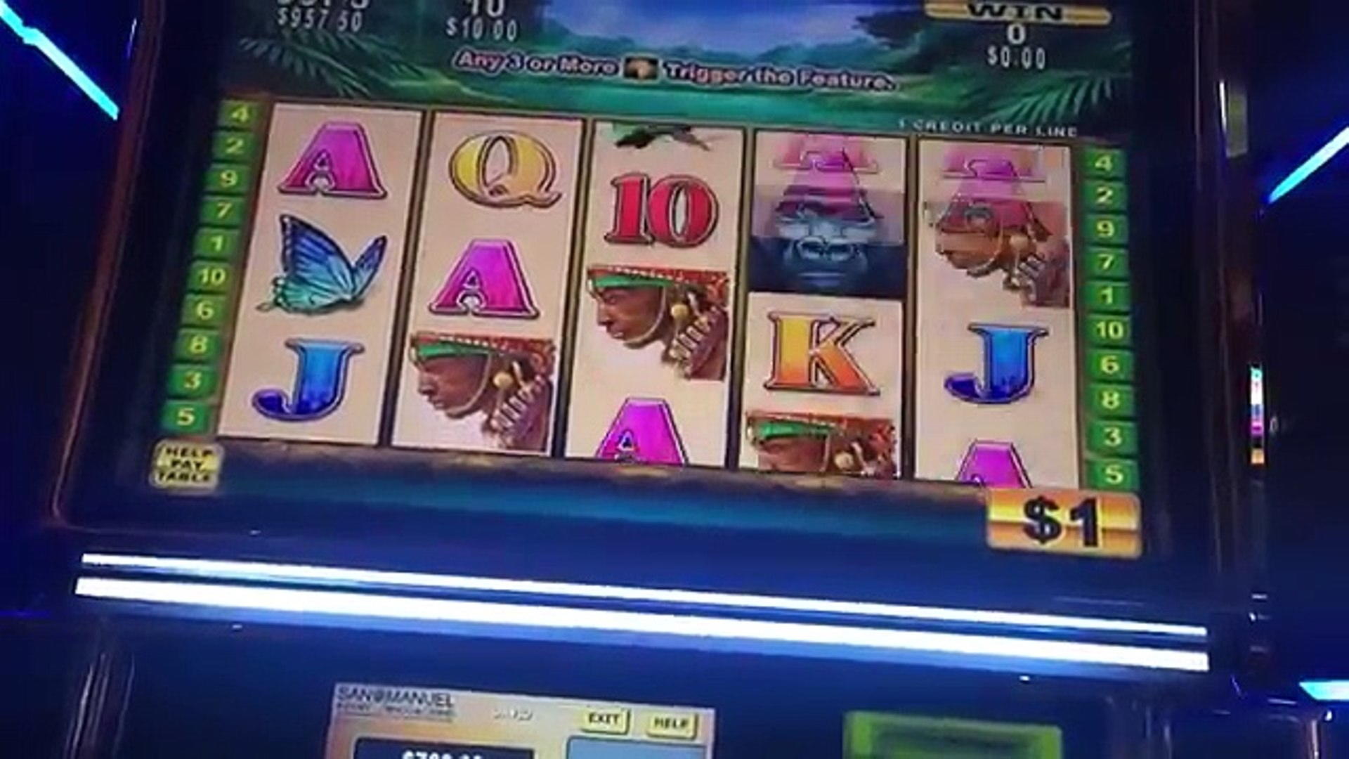 €810 Daily freeroll slot tournament at Dream Dubai Casino