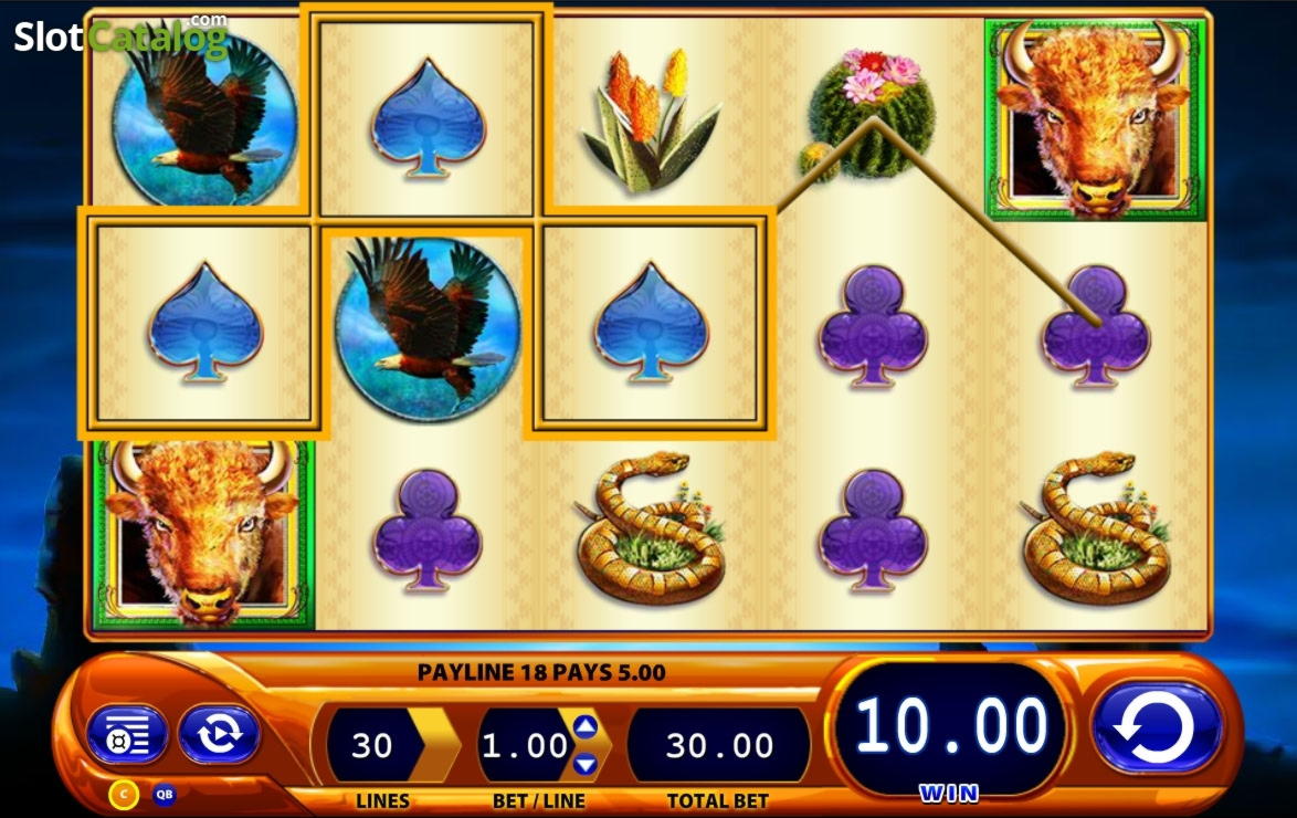 300 Free spins at CasiPlay Casino