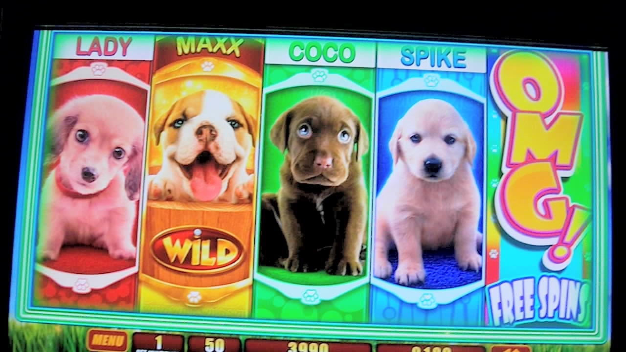 €260 Free Cash at Grandivy Casino