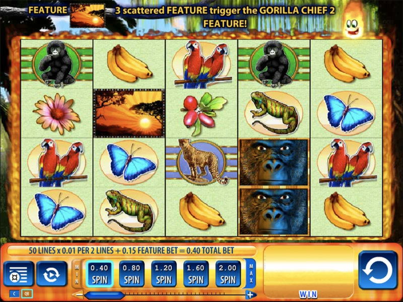 985% Match at a casino at Dunder Casino