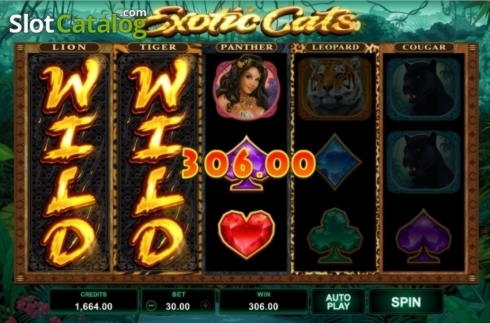 Eur 965 Mobile freeroll slot tournament at Eurogrand Casino