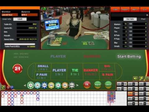€780 Daily freeroll slot tournament at Casimba Casino