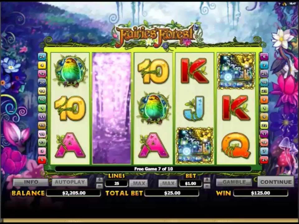 EURO 205 Free Money at CasiPlay Casino
