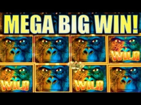 €2225 NO DEPOSIT CASINO BONUS at Mansion Bet Casino