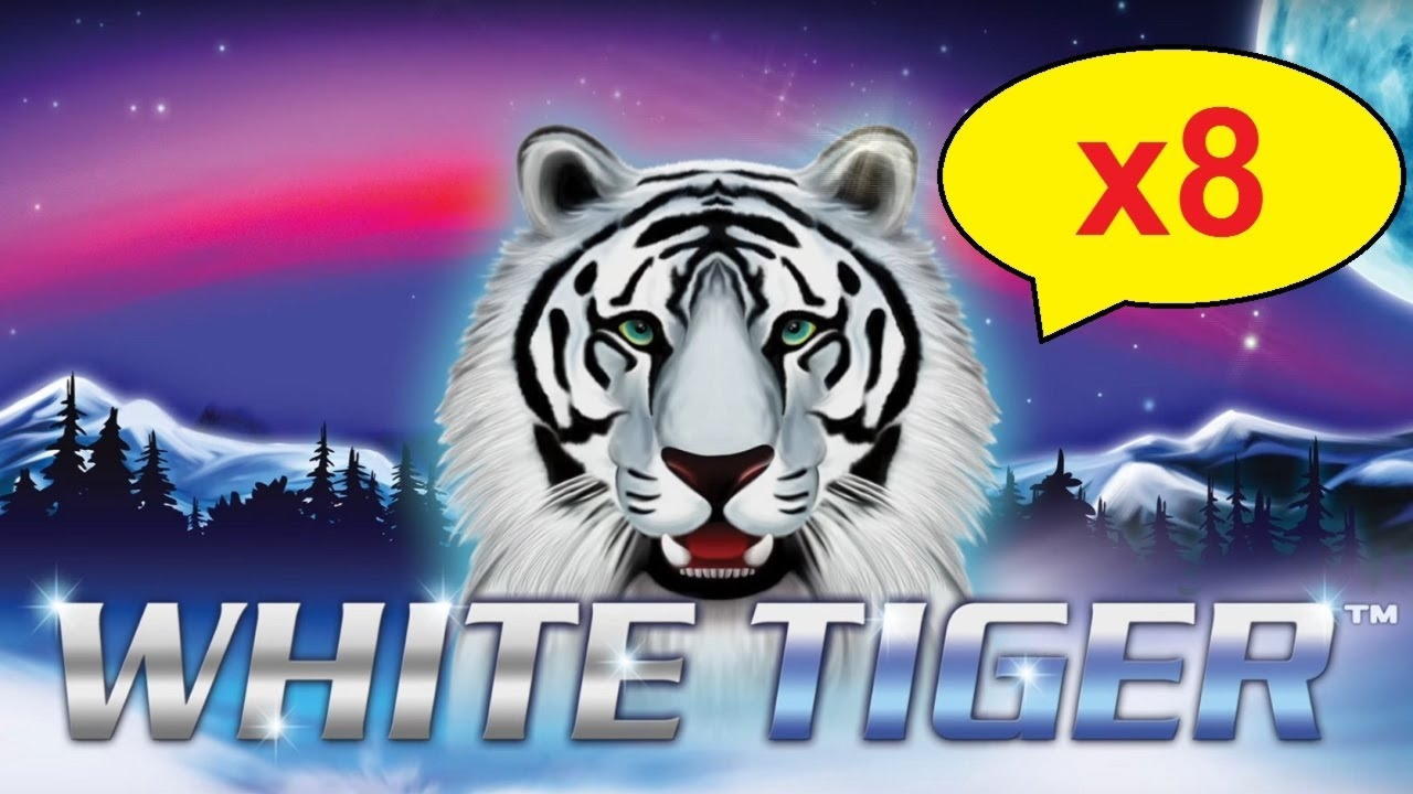 ﻿$50 Online Casino Tournament at Royal Panda Casino