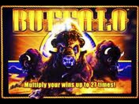 EUR 1745 NO DEPOSIT BONUS CODE at Winner Casino
