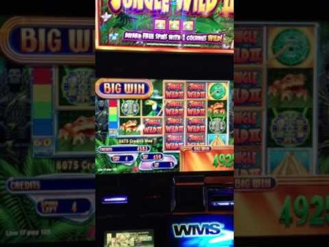 EURO 220 Free Casino Chip at Spinit Casino