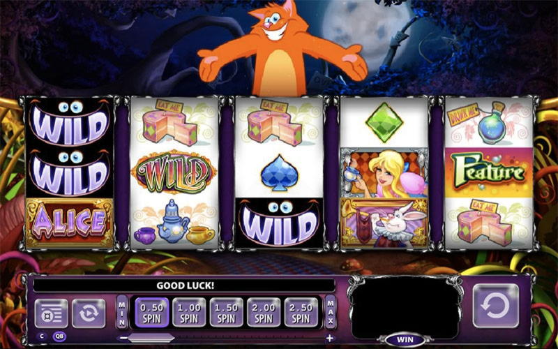 €4630 NO DEPOSIT at Dunder Casino
