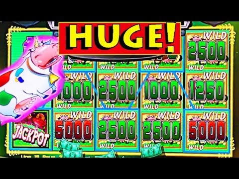 275 FREE SPINS at Mansion Bet Casino