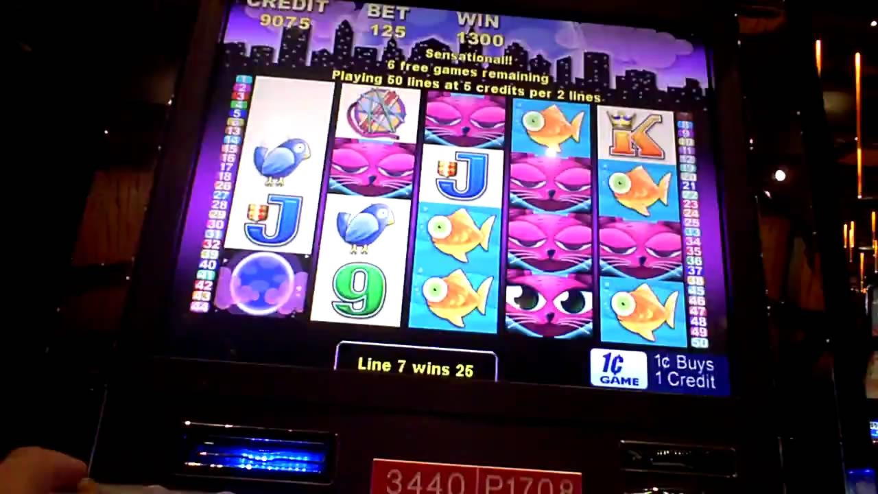 Eur 135 Free Chip Casino at CasiPlay Casino