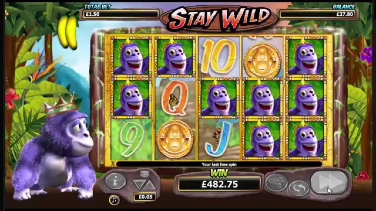 195 free spins no deposit at Volt Casino