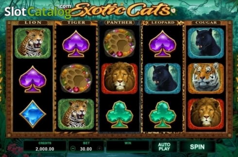 EURO 3470 no deposit casino bonus at Red Spins Casino