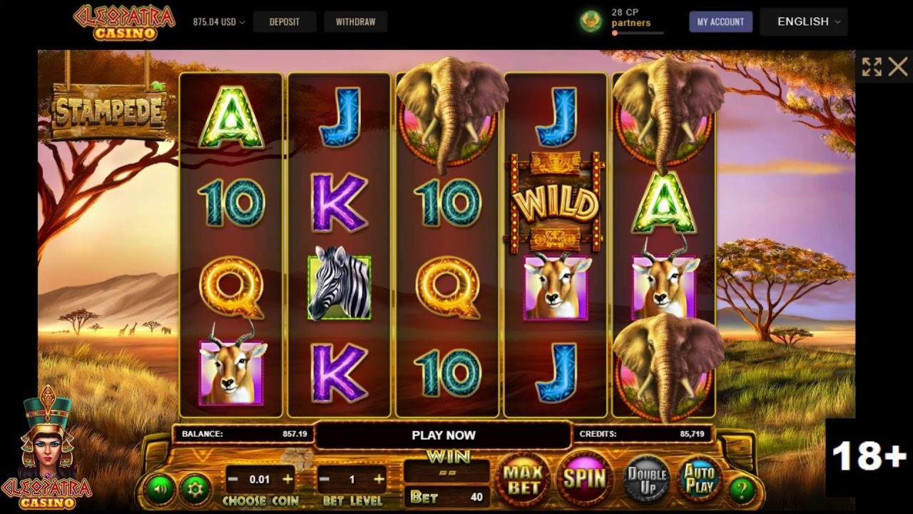 EURO 220 Daily freeroll slot tournament at Winner Casino