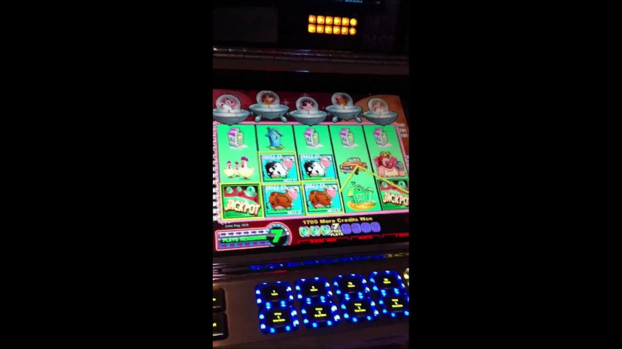 125 free spins at Grandivy Casino