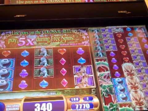 455% Welcome Bonus at Winner Casino