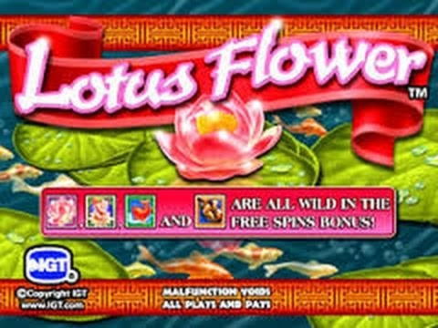 EUR 1111 Casino tournaments freeroll at Video Slots Casino