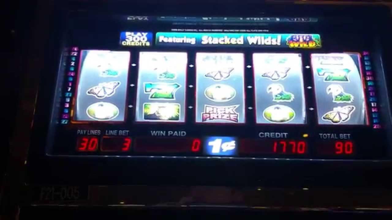 255 Free Casino Spins at Winner Casino