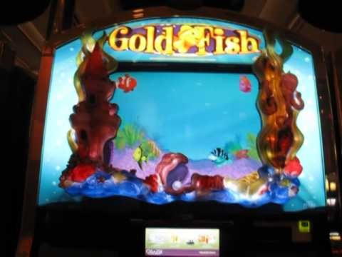260 Free Spins at Sloty Casino