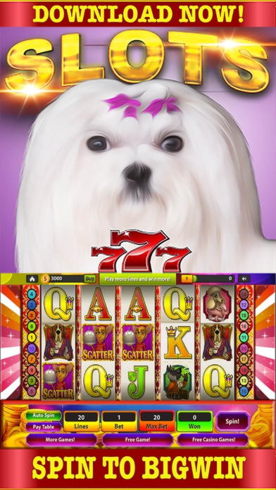 $320 Online Casino Tournament at Wix Stars Casino