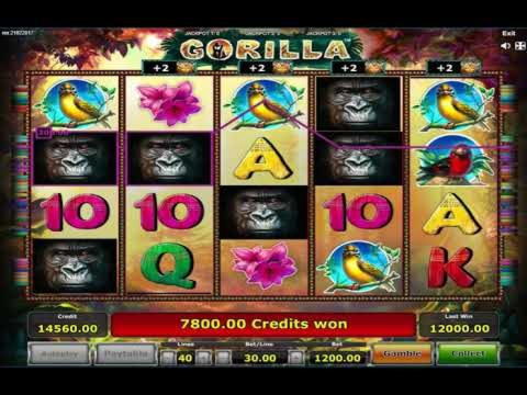 £410 Daily freeroll slot tournament at Karamba Casino
