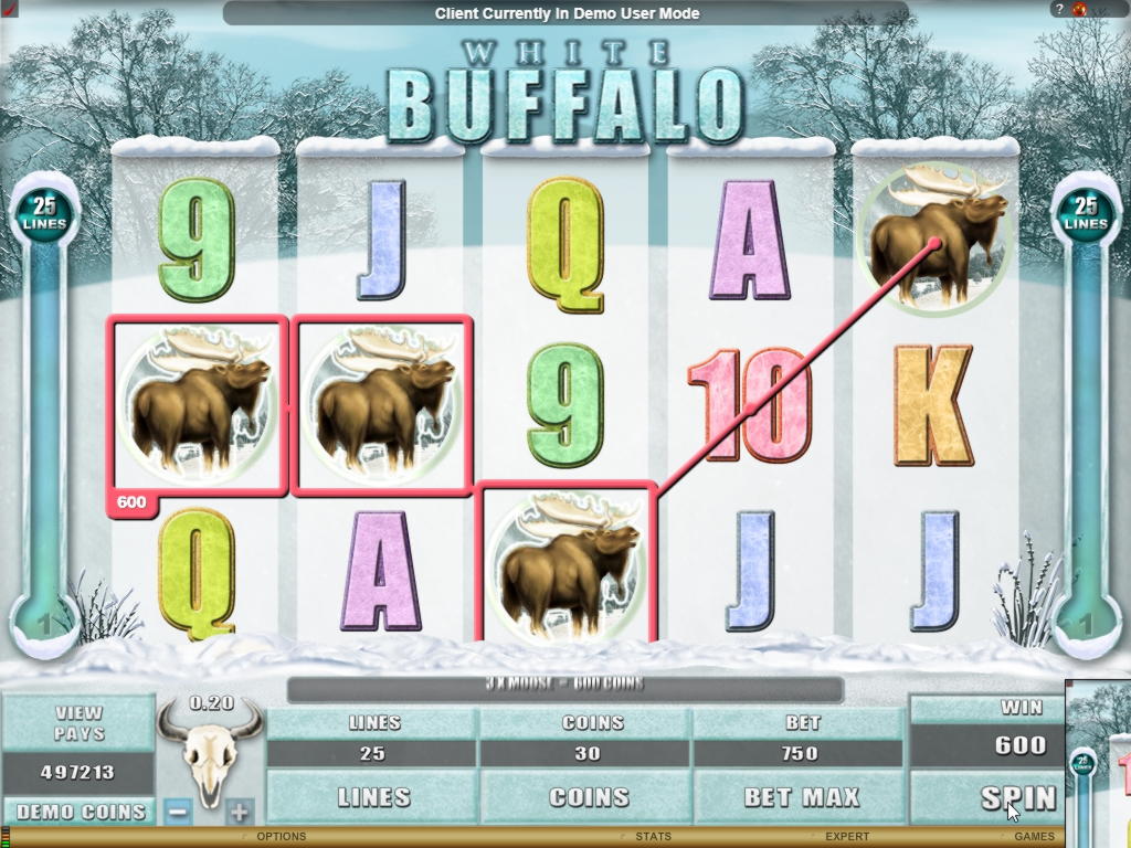 EUR 2110 NO DEPOSIT CASINO BONUS at Dream Dubai Casino