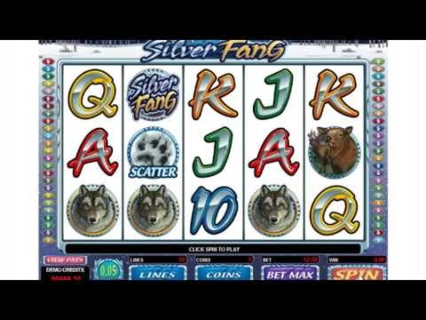 270% Best Signup Bonus Casino at Wix Stars Casino