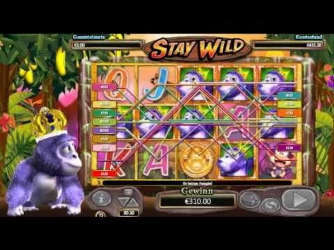 €1735 No deposit bonus casino at Spinit Casino