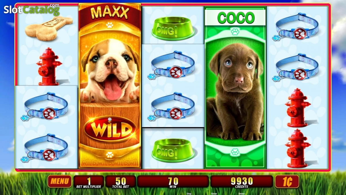 25 Free spins at Dunder Casino