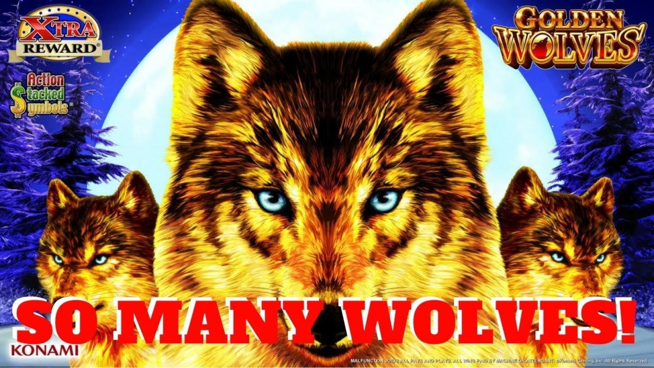 205 Loyal Free Spins! at Touch Lucky Casino