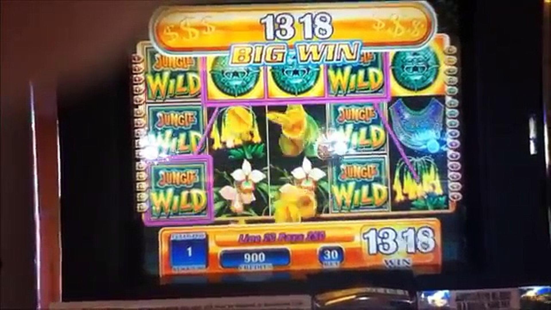 240 free spins at Bet Hard Casino